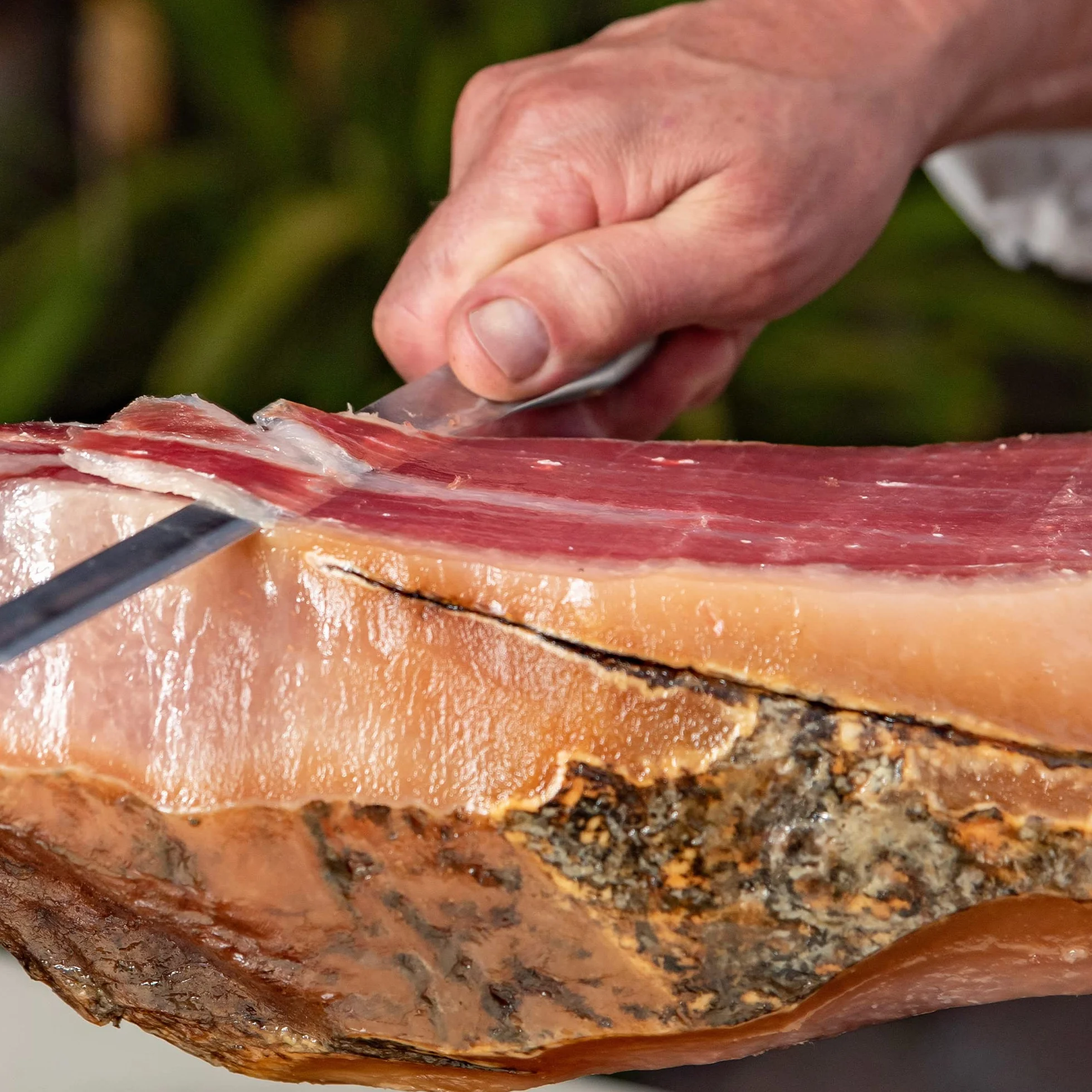 Jamonprive Jamón Ibérico Paleta (Pata Negra) de Cebo de Campo 4 - 4.5 Kg