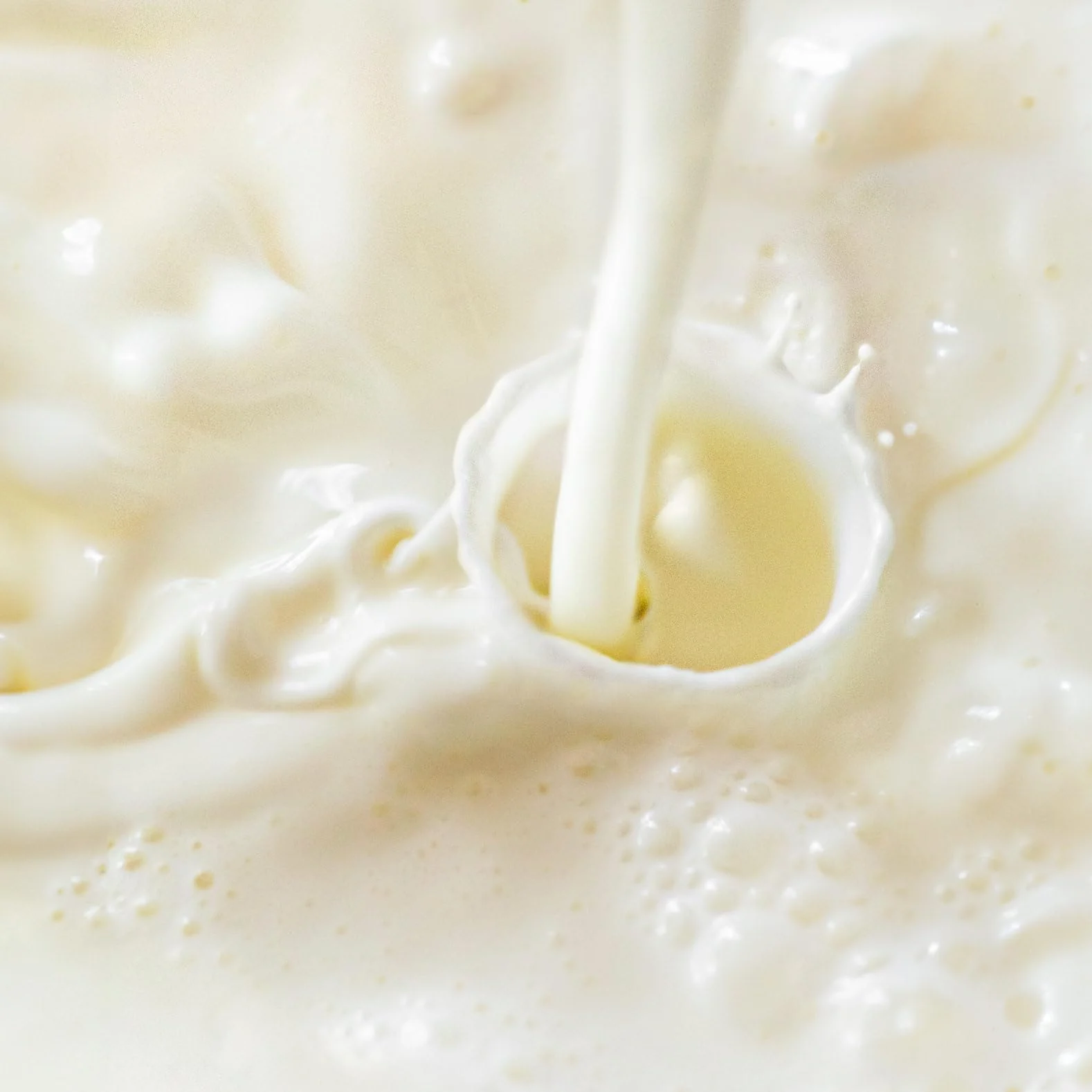 HSN Kéfir en Polvo | Sabor Natural 500g = 50 Servicios | 100% Natural Kéfir de Leche de Vaca Origen Unión Europea | Bajo en Grasa Sin Azúcares añadidos | No-GMO, Vegetariano, Sin Gluten