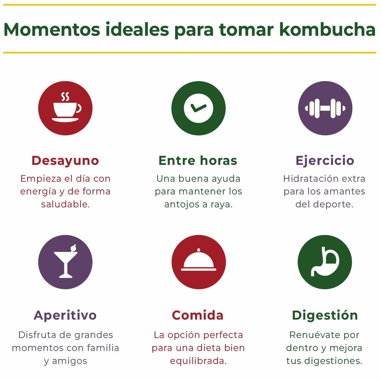 Kombucha Natural Onflow Sin Azúcar Pack 4 Botellas 1L Sabores Jenjibre-Limón Té Verde Mango-Remolacha Melón-Espirulina