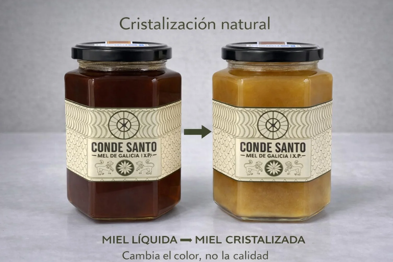 Miel Cruda de Montaña de Galicia IGP 1 kg – 100% Natural Sin Filtrar ni Pasteurizar | Miel Artesanal Directa del Apicultor | Conde Santo