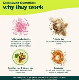 Para hinchazón, salud intestinal, mujeres y hombres, vegano, sin OGM | Kombucha