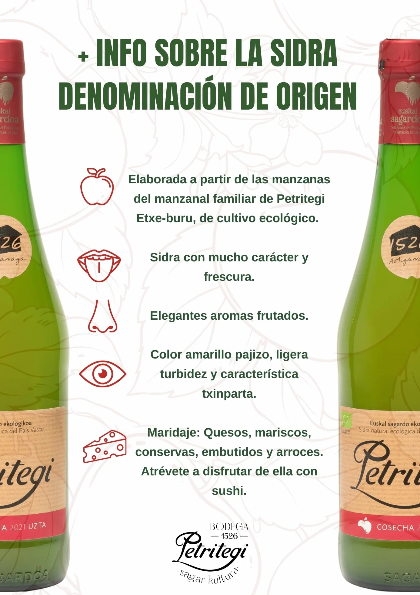 Petritegi Eko Euskal Sagardoa – Sidra Ecológica 100% Manzana Vasca | DO Euskal Sagardoa | Producción Sostenible y Ecológica | 6% Vol (Pack 6)