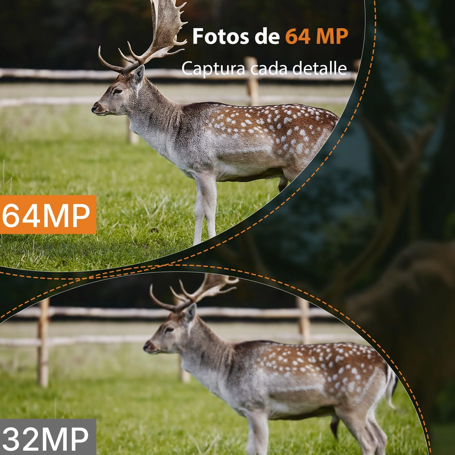 GardePro E6 Câmaras de Caça WiFi con Antena y App 48MP 1296P H.264 Vidéo, Camara Fototrampeo con Alcance de Visión Nocturna de 25m y Amplio Campo de Visión de 110°