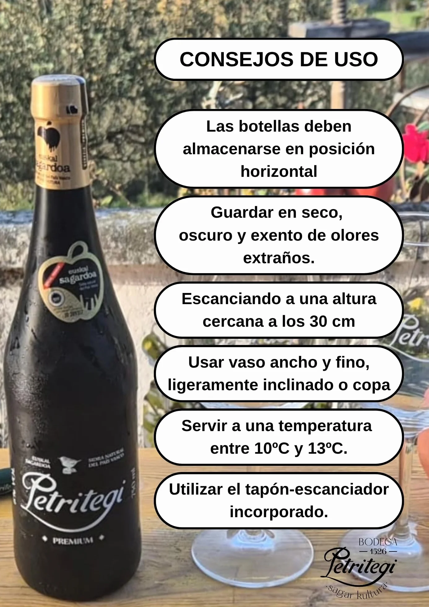 Sidra Natural Petritegi D.O. Premium Edición Limitada Euskal Sagardoa 100% Manzana Autóctona Vasca 6% vol Pack 6