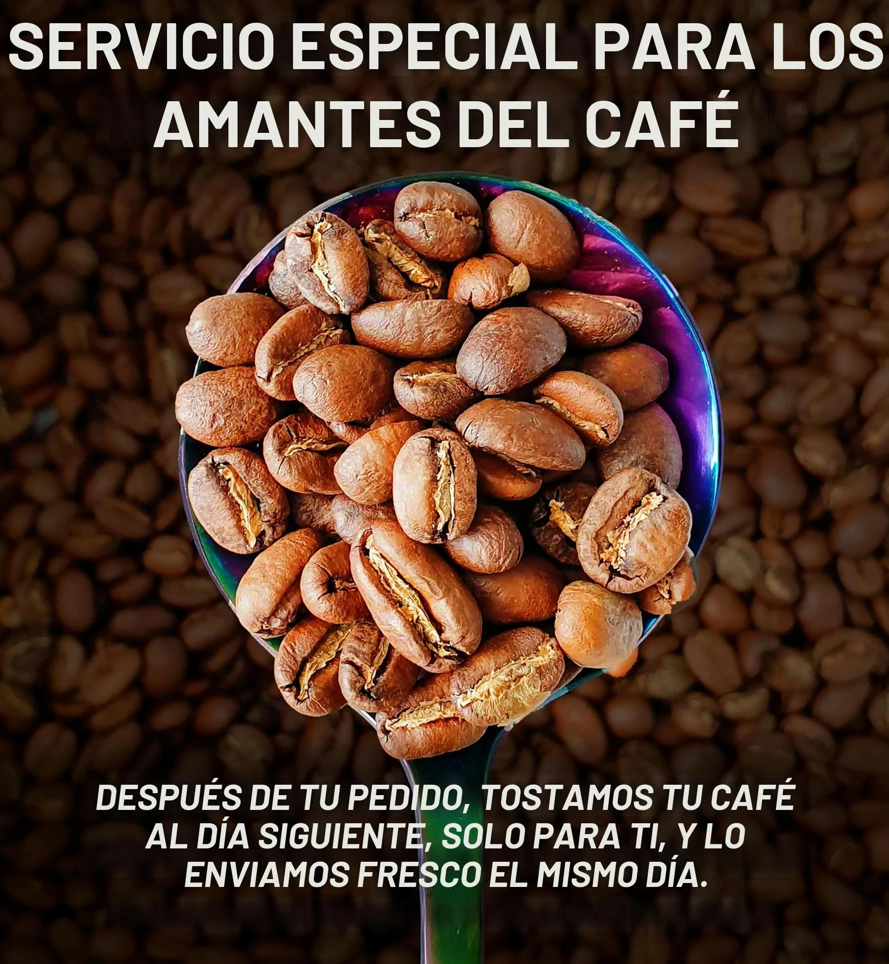 Freshest Specialty Coffee Beans | 80 CUP Roastery | Single Origin ~ Roasted After Order (1000g, Ethiopia Yirgacheffe)