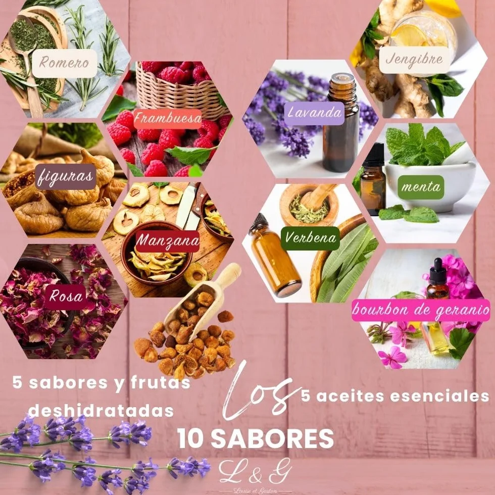 L&G® - Kit té preparación y degustación - Honeybush, Rooibos, Sancha Green, Maté - Infusores incluidos - Set de té DIY - Regalar Navidad, cumpleaños - Made in France - Ingredientes de calidad