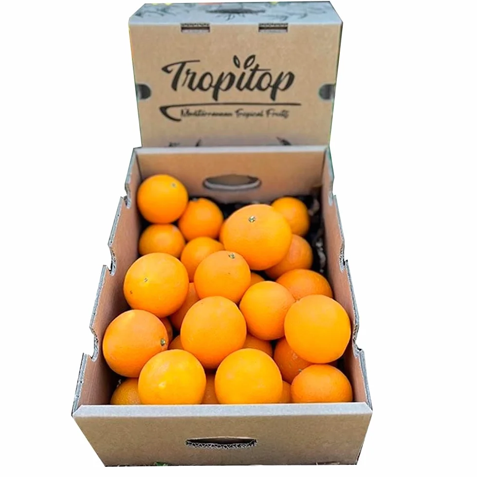 Naranjas de temporada 4kg 9kg 15kg cultivadas sostenible Castellón España directas del agricultor