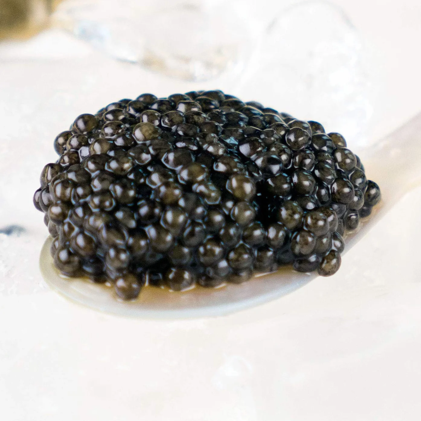 Caviar Siberiano Clásico Premium Nacional 20grs
