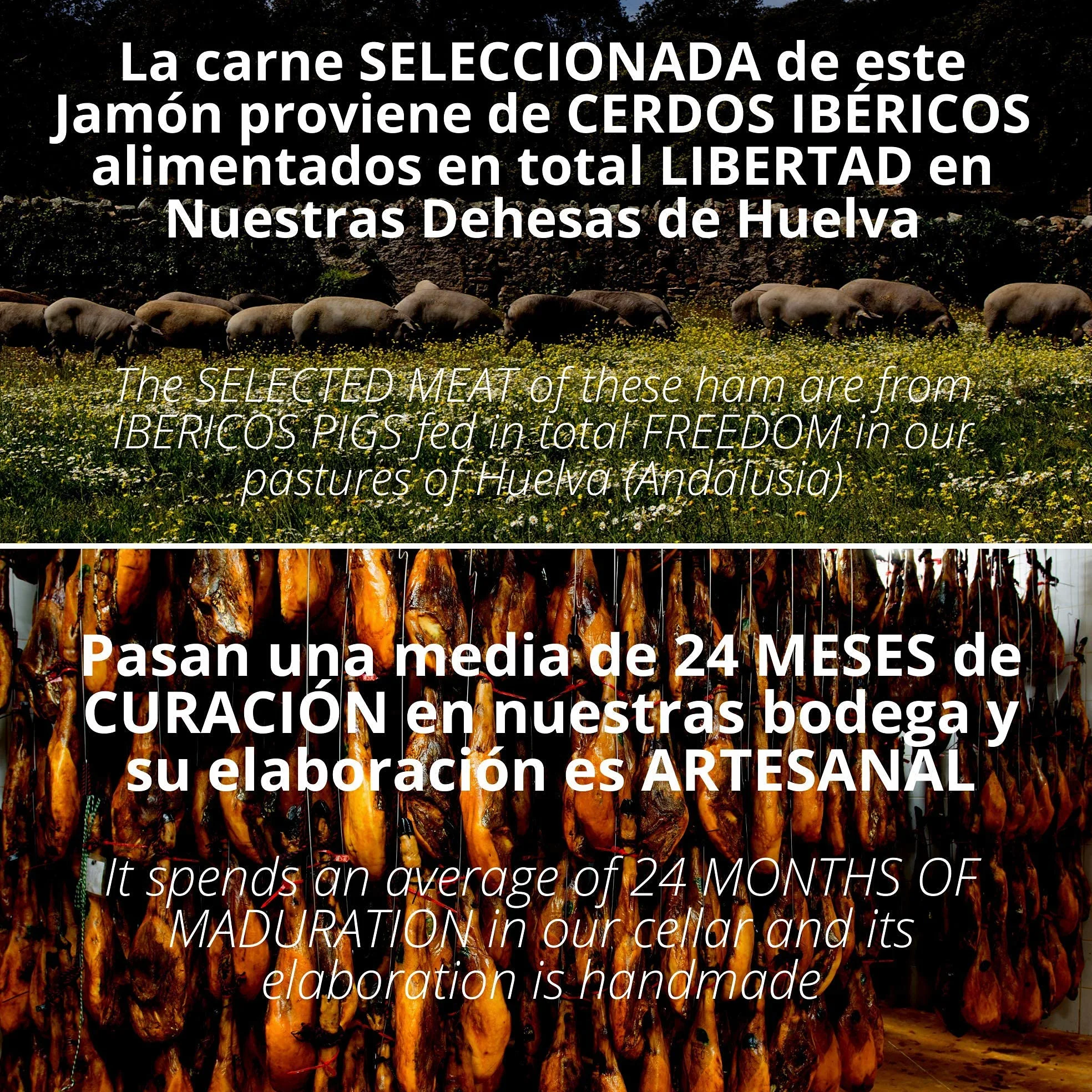 5.5-6 kg Paleta de Cebo de Campo Iberico 50% Raza Iberica - Jamon Ibérico de Elaboracion Artesanal - Embutidos Ibericos