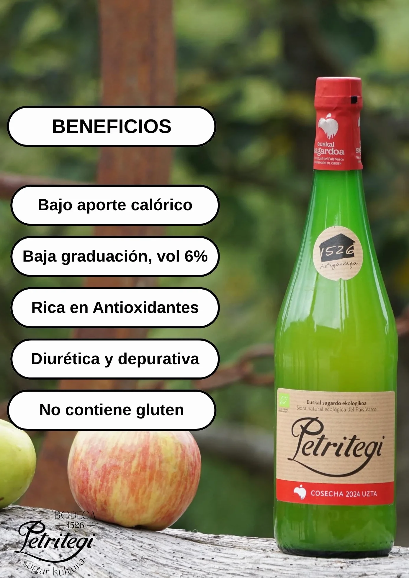 Petritegi Eko Euskal Sagardoa – Sidra Ecológica 100% Manzana Vasca | DO Euskal Sagardoa | Producción Sostenible y Ecológica | 6% Vol (Pack 6)