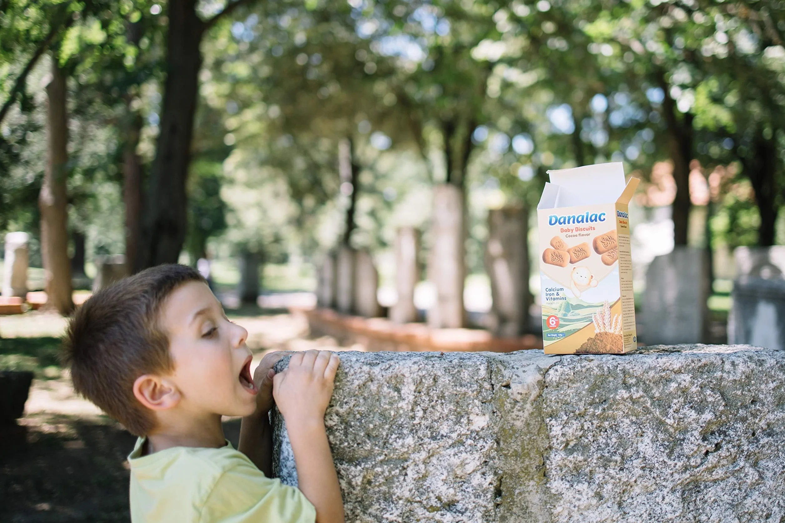 Danalac, Paquete De Galletas De Cacao Para Bebés De Bocadillos Para Niños Pequeños De 6 Meses O Más Con Calcio, Hierro Y Vitaminas, 120 Gramos
