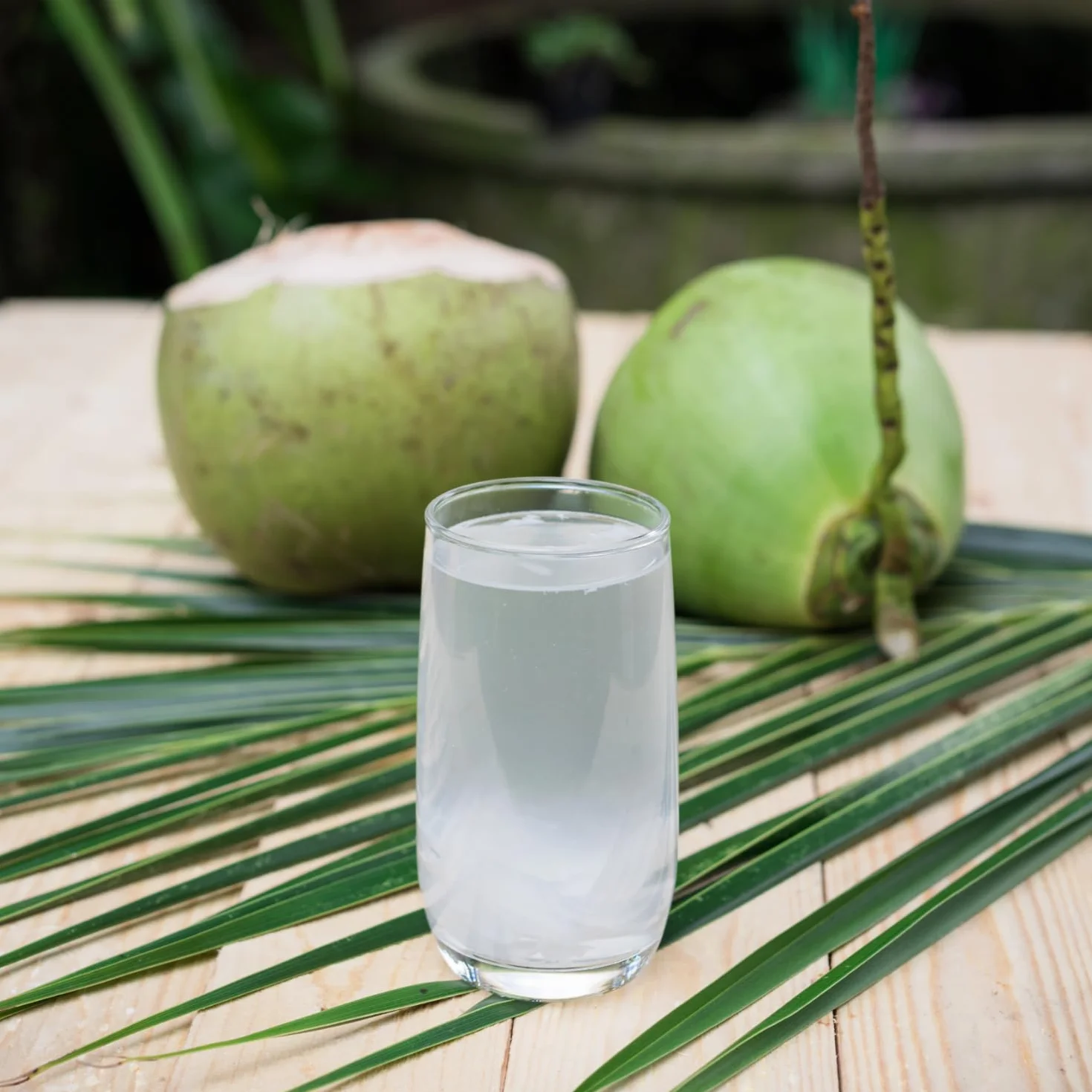 BAMBOO TREE Agua de Coco 1 LTR
