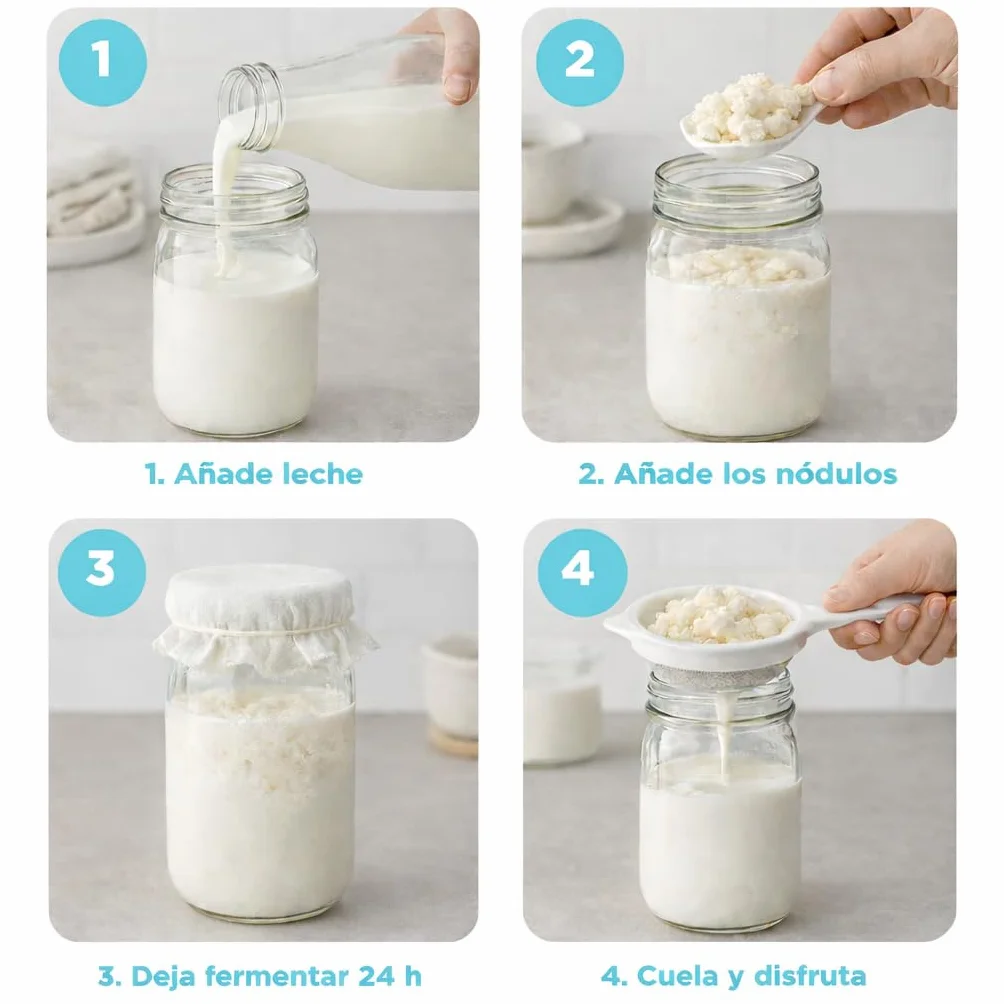 PACK COMPLETO Nódulos Kéfir de Leche Frescos + Colador 18 cm – Instrucciones y Recetas en Español – Kit Probiótico Natural con Asesoramiento - OH MY KÉFIR®