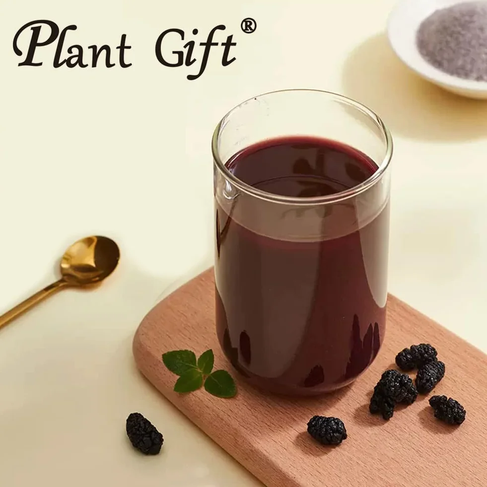 Plant Gift 100% Pure Mulberry Powder 桑葚粉 Polvo dietético natural, excelente sabor para bebidas, batidos y bebidas, polvo no GM - sin relleno, sin aditivos, yogur y más 100g / 3.25o