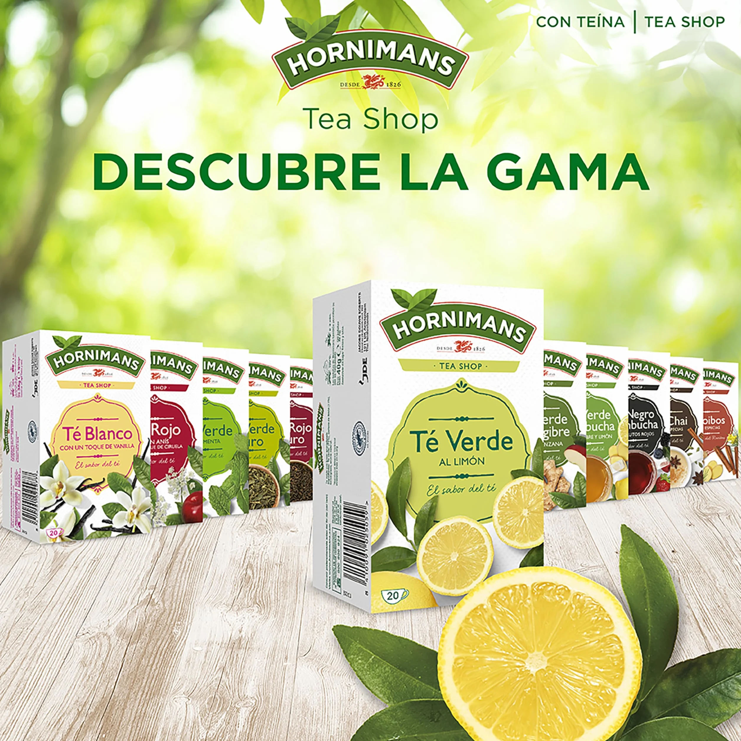 Hornimans Té Verde al Limón Ingredientes 100% Naturales | 20 bolsitas | Con Teína