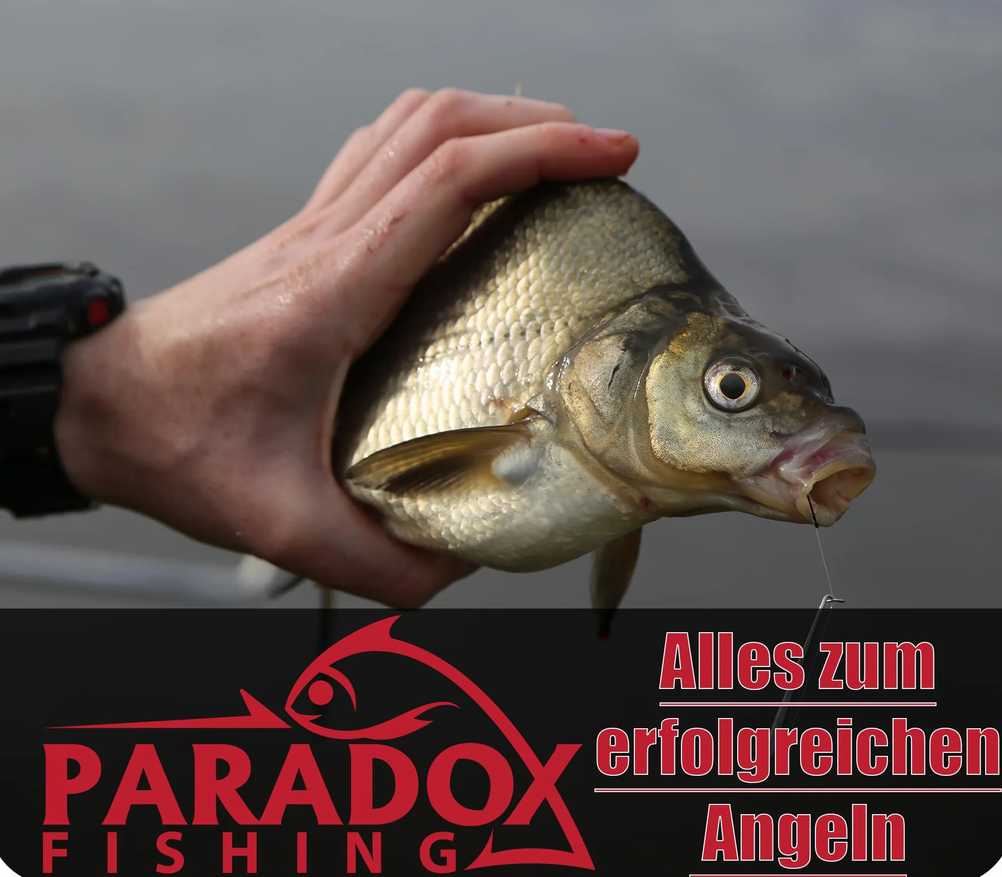 Paradox Fishing Caña de pescar 3,3 m 90 g 3,6 m 120 g con cesta de alimentación