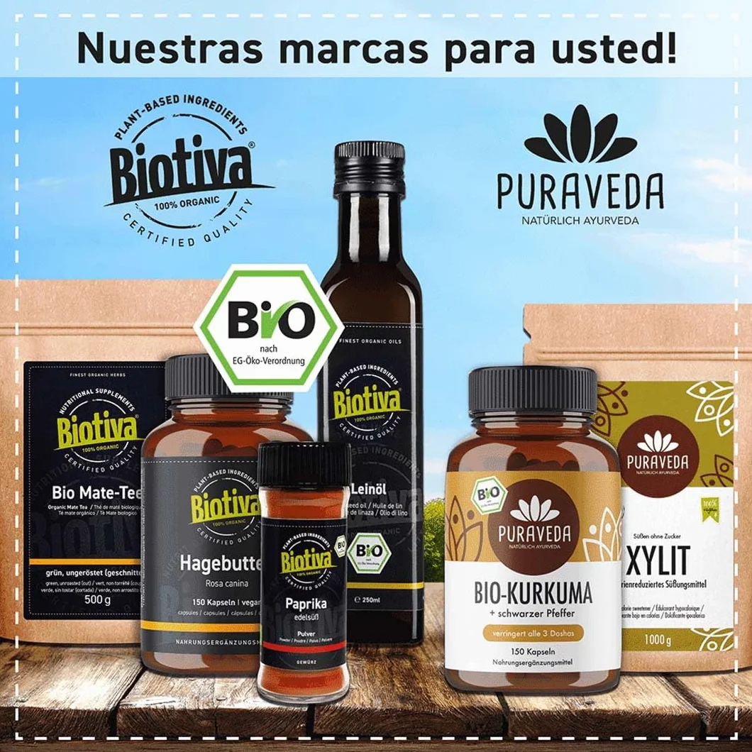 Biotiva Choco Mushroom Latte orgánico 100g - bebida con chocolate y hongos - embotellado y controlado en Alemania