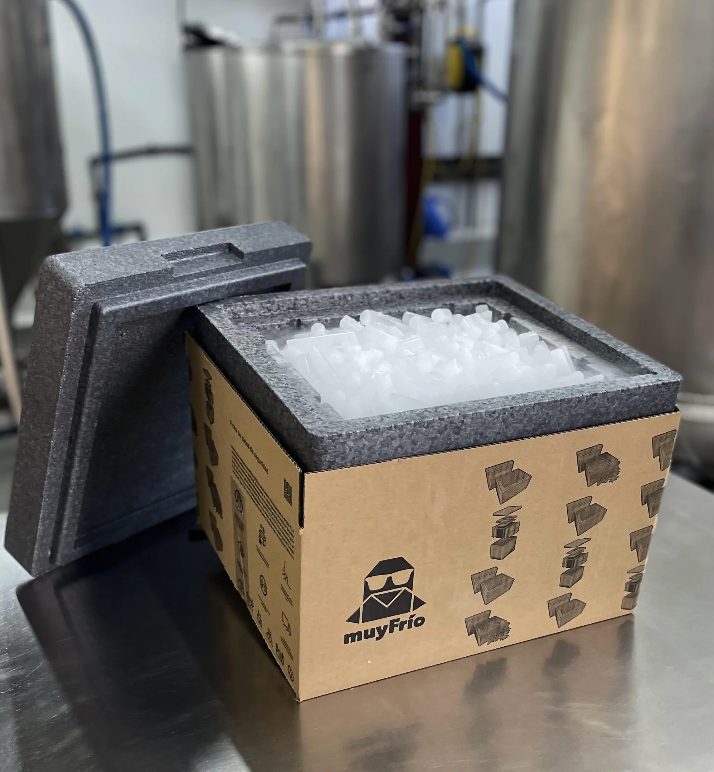 Nevera Poliestileno Expandido Hielo Seco 10KG Coctelería Restauración