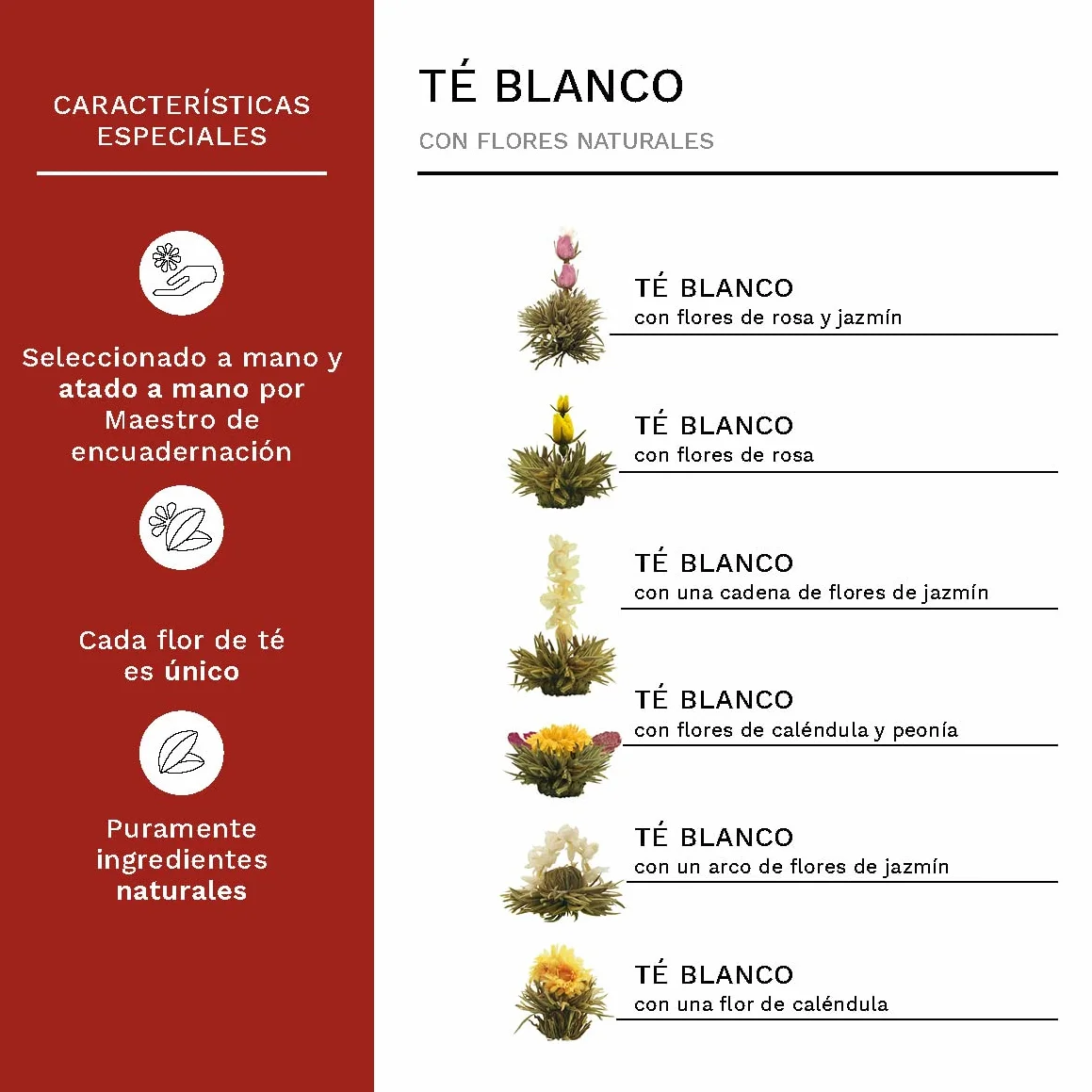 Creano Set XXL Flores de Té Blanco 18 uds Tetera 500ml Antigoteo Cofre Madera Regalo Boda