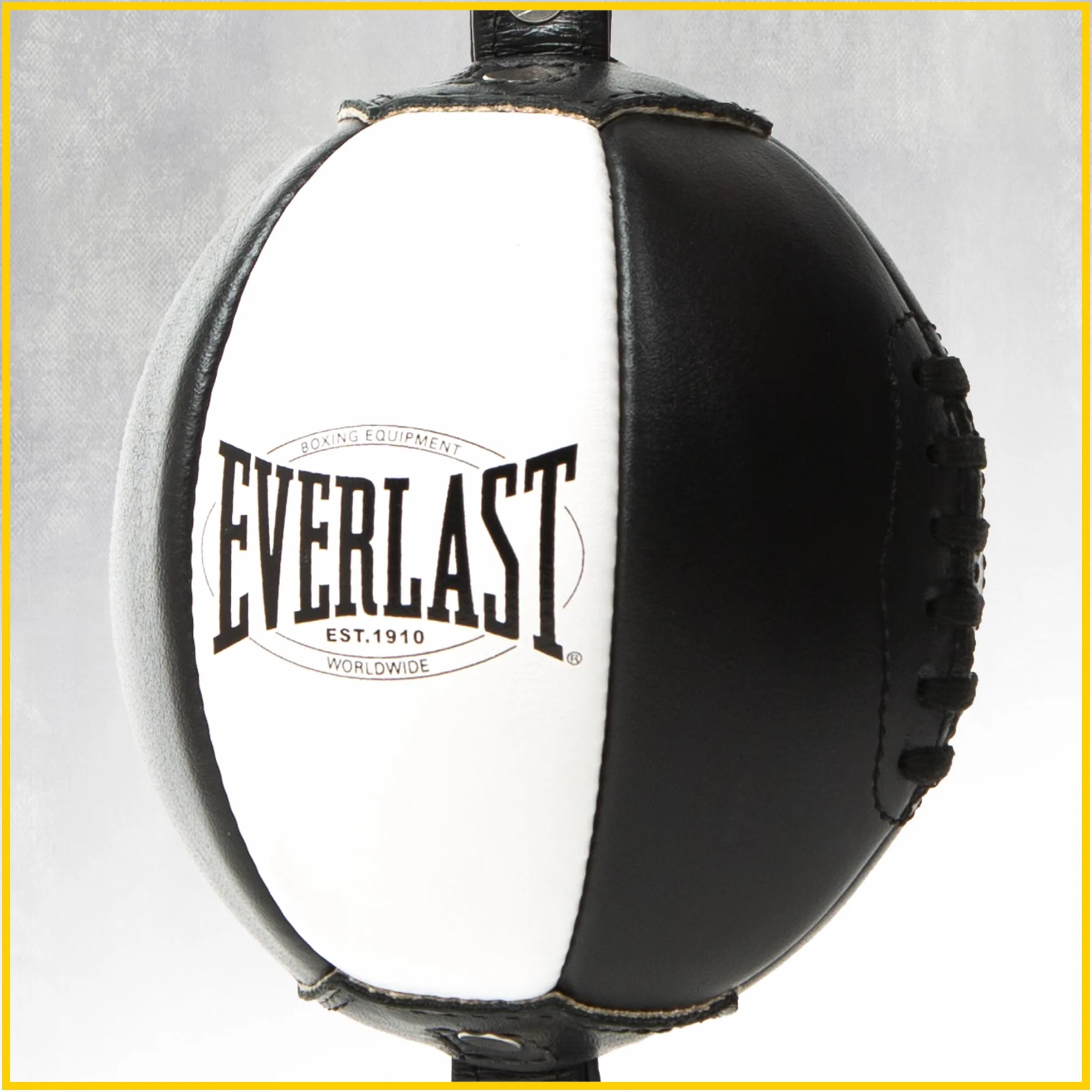 Everlast 1910 Double End Speed Bag Punching