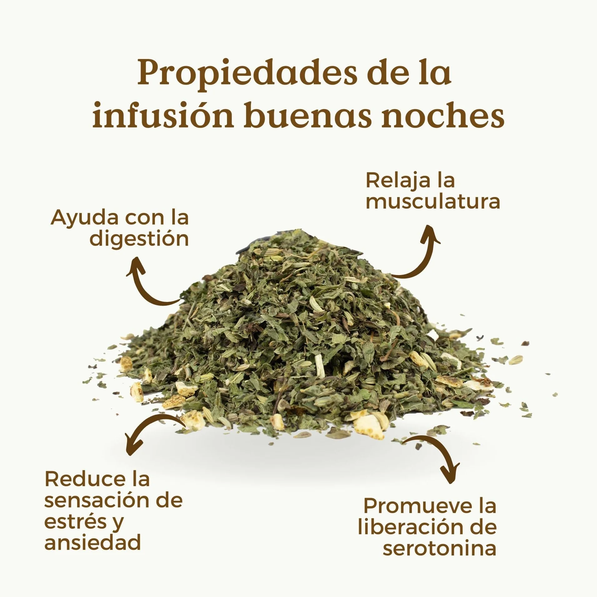 INFUSION PARA DORMIR Buenas Noches 100% Ecológica 100g (50 Tazas) | INFUSION DE MELISA con Hinojo, Anís, Naranja Orgánicos REPLANTEA®