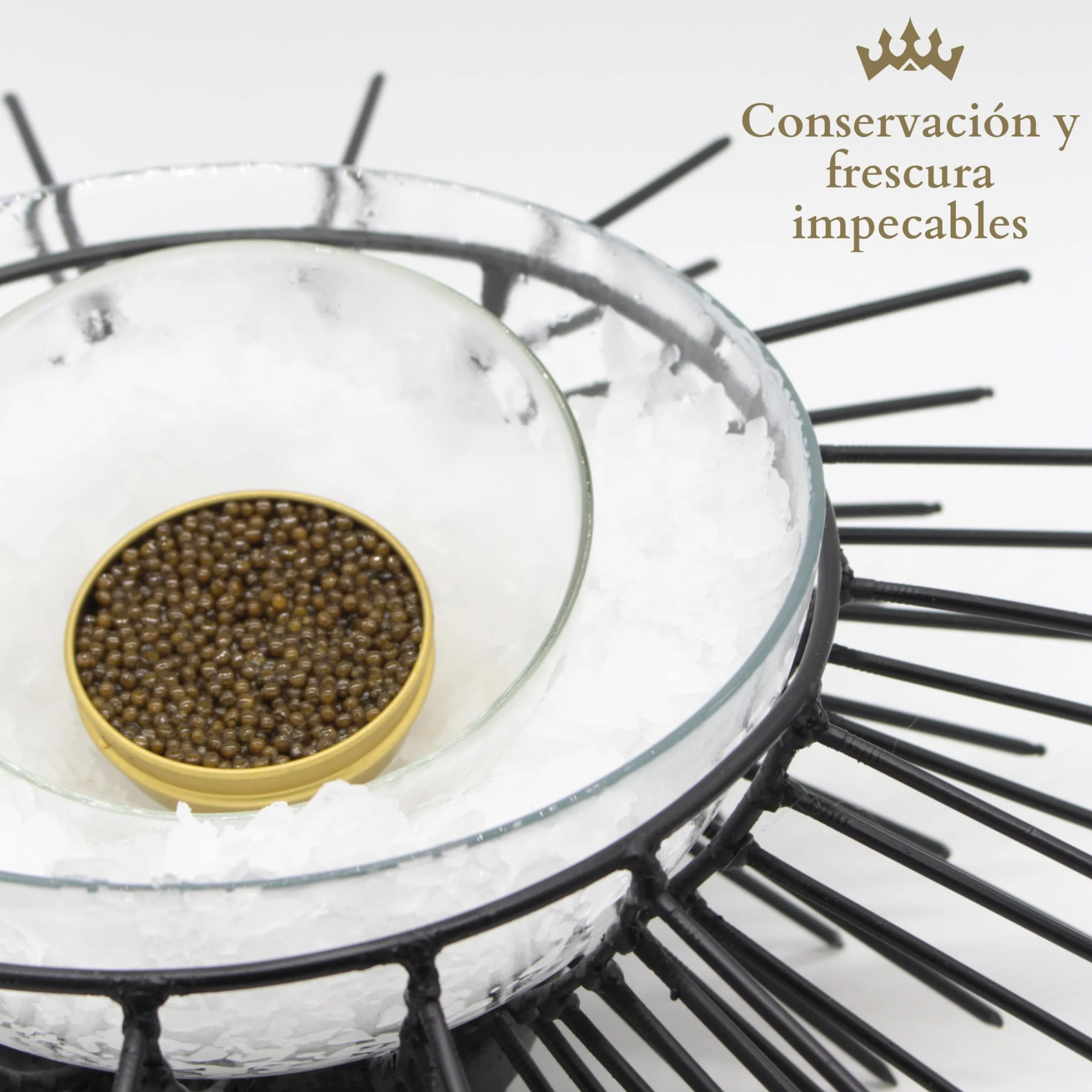 Caviar del Tíbet – Caviar Oscietra 100 GR – Caviar de Esturión Ascipenser Gueldenstaedtii – Huevas de Caviar – Caviar Gourmet