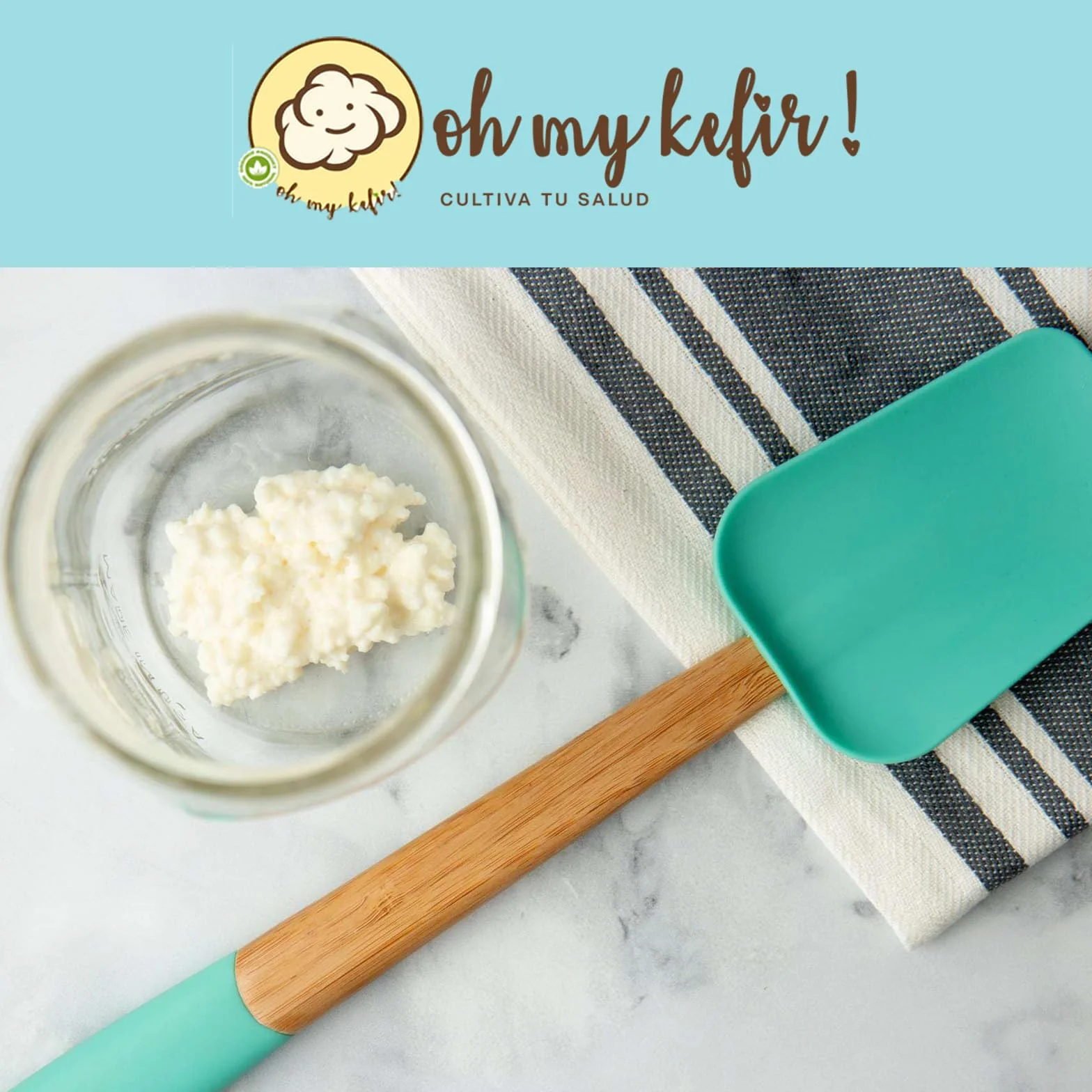 PACK COMPLETO Nódulos Kéfir de Leche Frescos + Colador 18 cm – Instrucciones y Recetas en Español – Kit Probiótico Natural con Asesoramiento - OH MY KÉFIR®