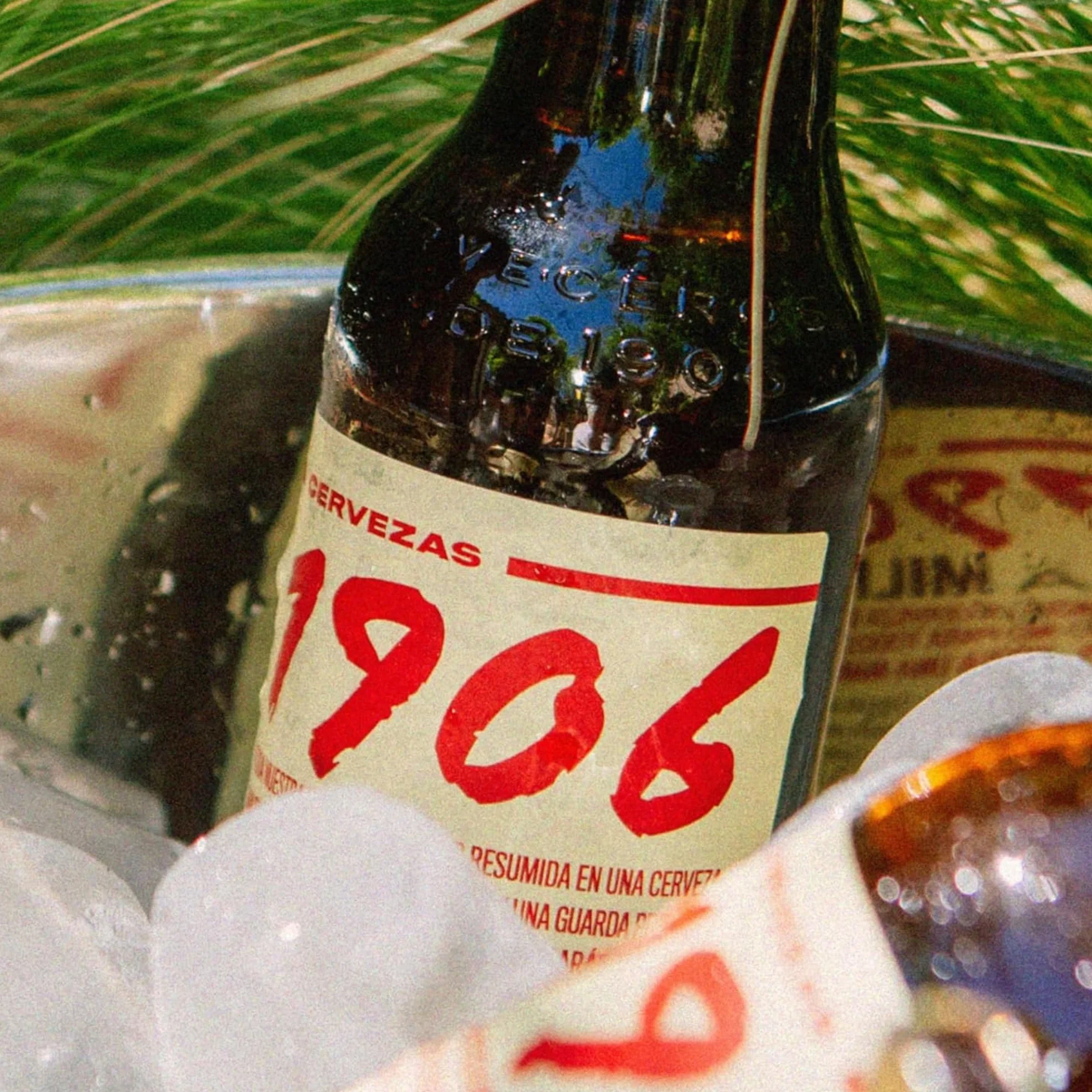 1906 Reserva Especial - Cerveza Lager Extra, Pack de 24 Botellas x 33 cl, Sabor Amargo y Aroma Tostado, Galardonada Internacionalmente, 6,5% Volumen de Alcohol