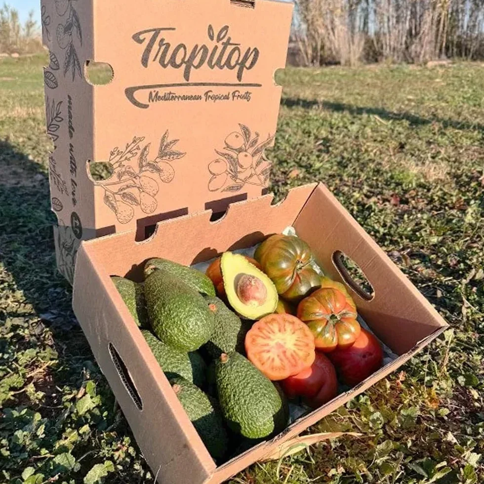 Caja de aguacates hass y tomate raf | 2 kg de Aguacates Hass y 2 kg de Tomate Raf, frescos y naturales, cultivados en Castellón (España), sin químicos y enviados directamente del campo a tu casa