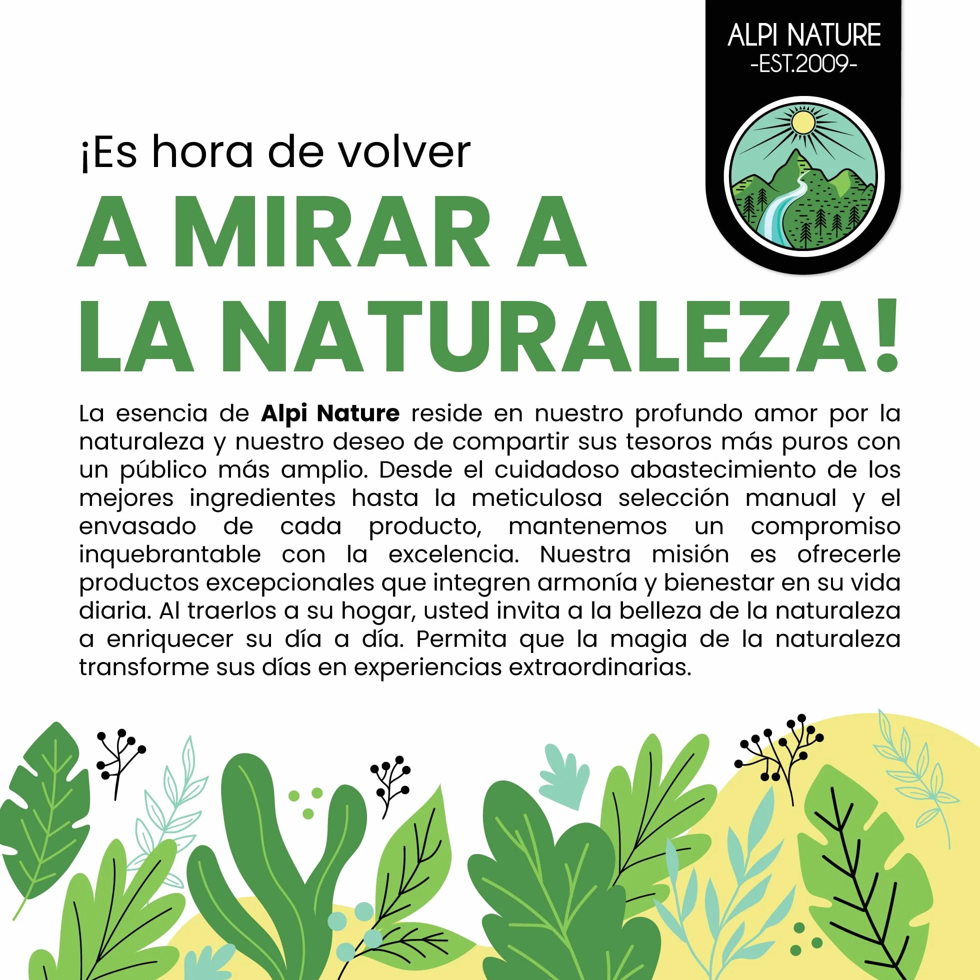 Alpi Nature Cúrcuma en Polvo 500g, Raíz de Cúrcuma Molida para Cocinar y Preparar Leche Dorada