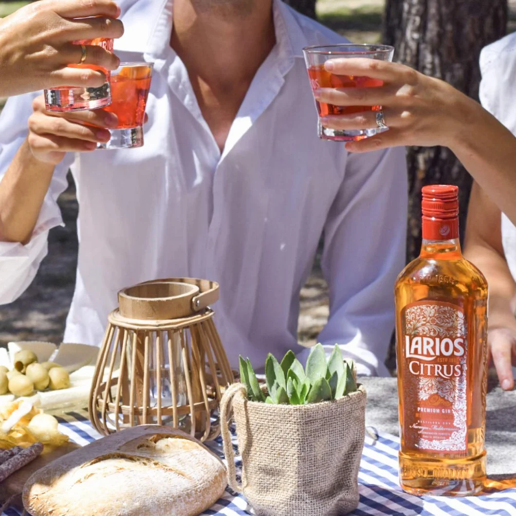 LARIOS ginebra citrus botella 70 cl