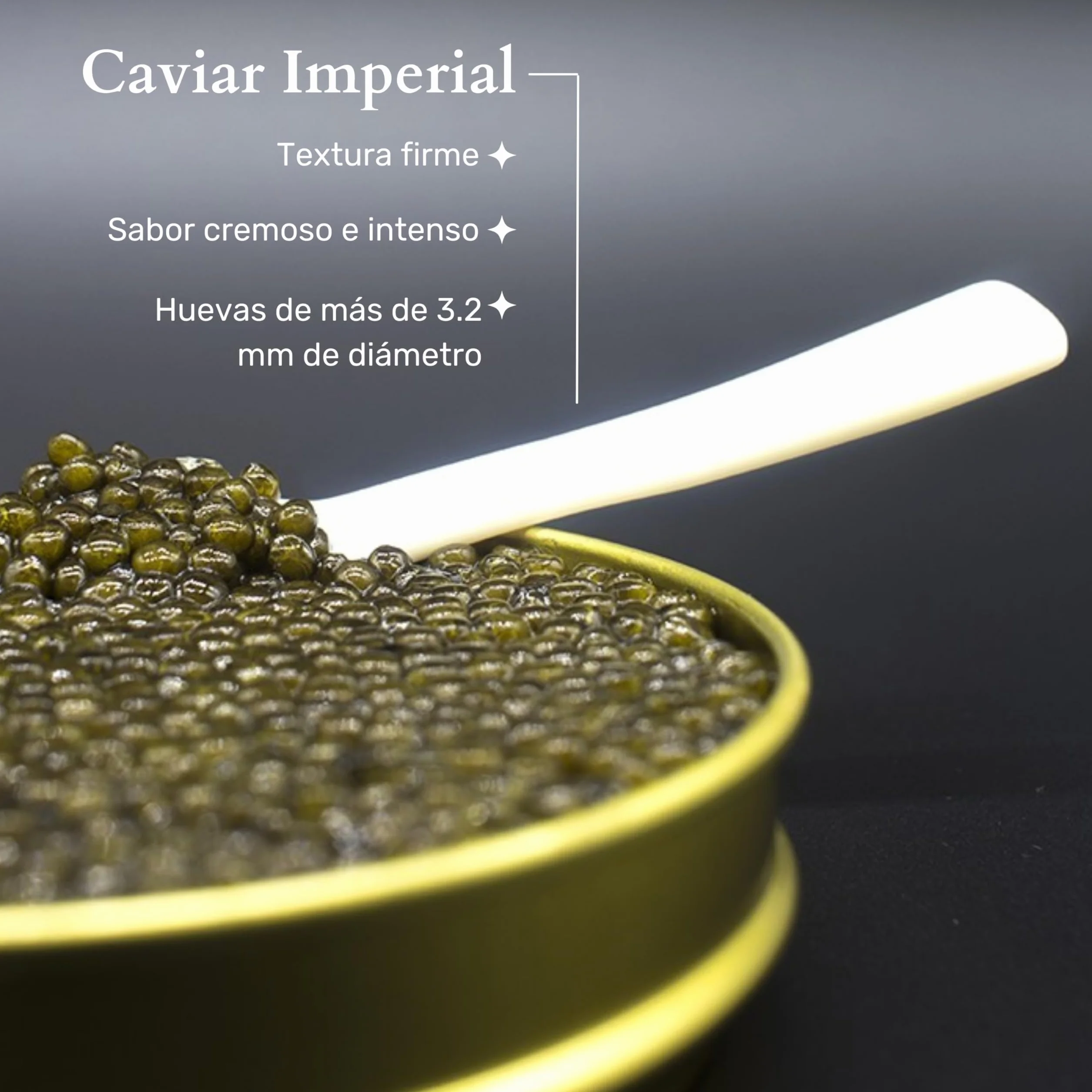 Dúo Caviar del Tíbet Beluga – Estuche Gourmet - Caviar Beluga 50 GR y Caviar Imperial 50GR – Huevas de Esturión - Pack Regalo Gourmet