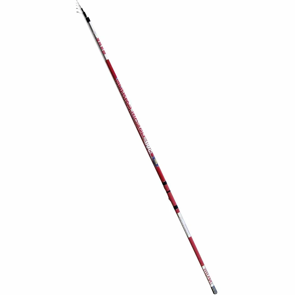 Lineaeffe Dream Carbon Bolo 5 m 30 g Caña Boloñesa Telescópica