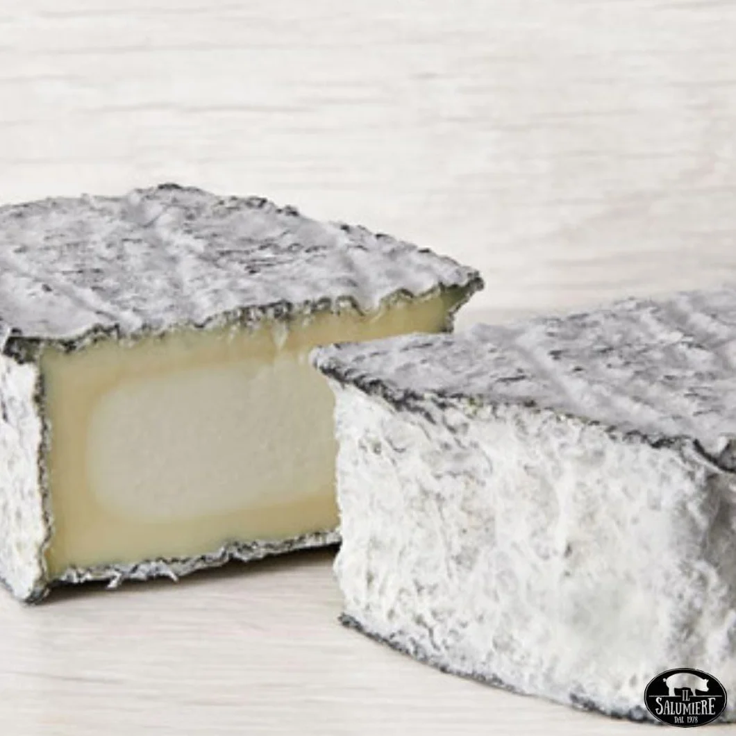Il Salumiere dal 1978 Queso Francés Ovalie Cendree MonS gr.150 - Sazonado - Producción artesanal láctea - Seleccionado por El Salumiere 1978