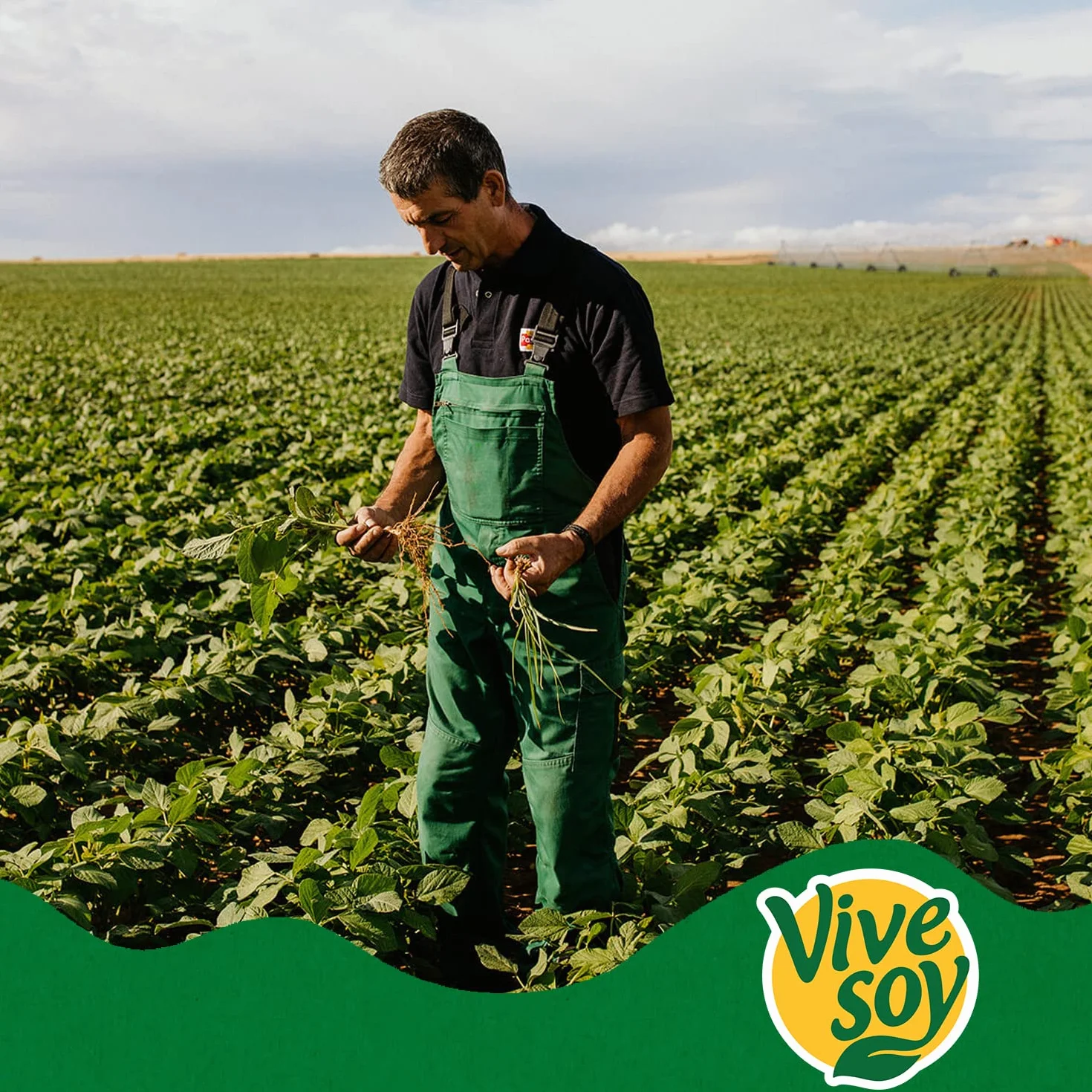 Vivesoy Naranja Y Soja Pack 8x1 L