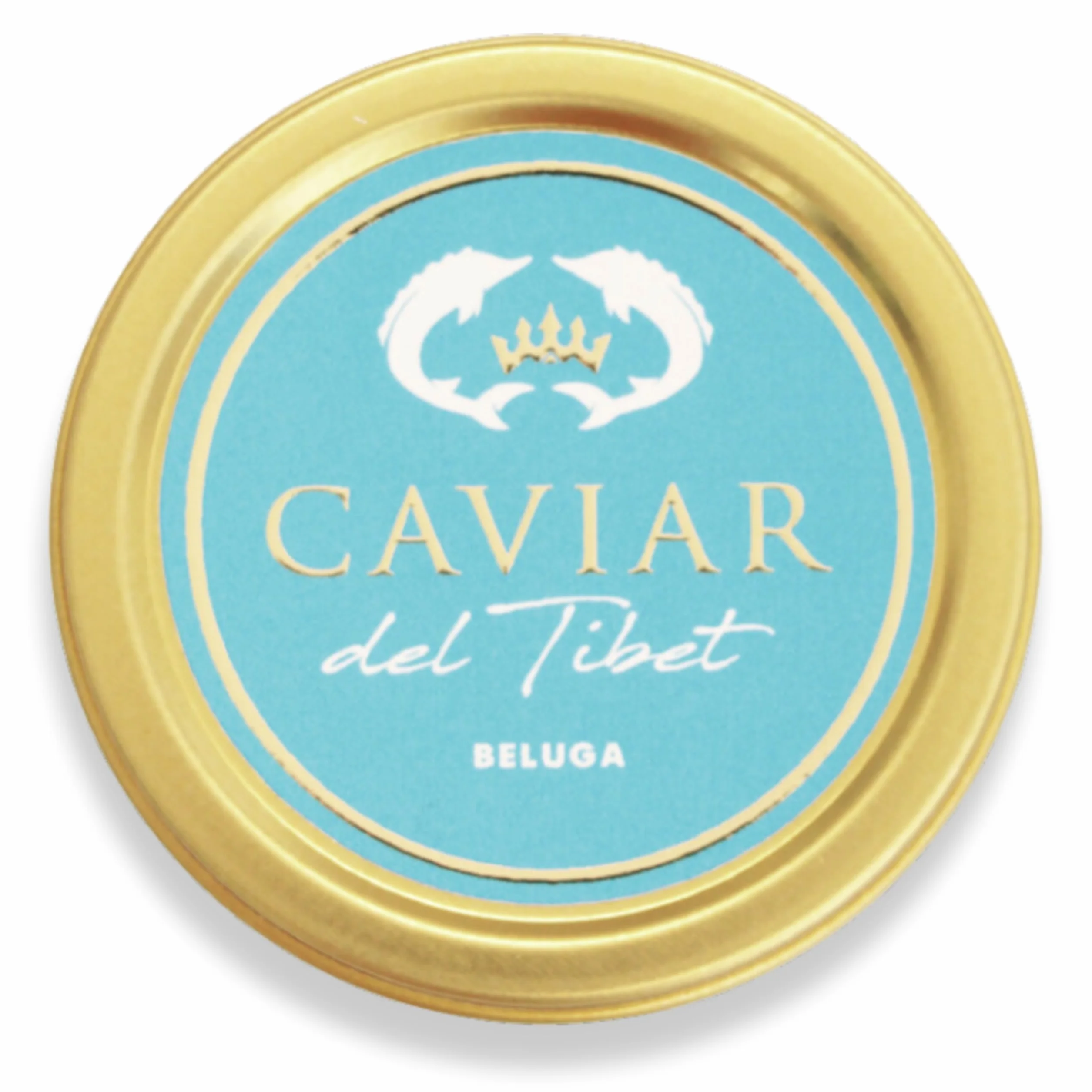 Caviar del Tíbet – Caviar Beluga 100 GR – Caviar de Esturión Huso Dauricus – Huevas de Caviar Kaluga – Caviar Gourmet…