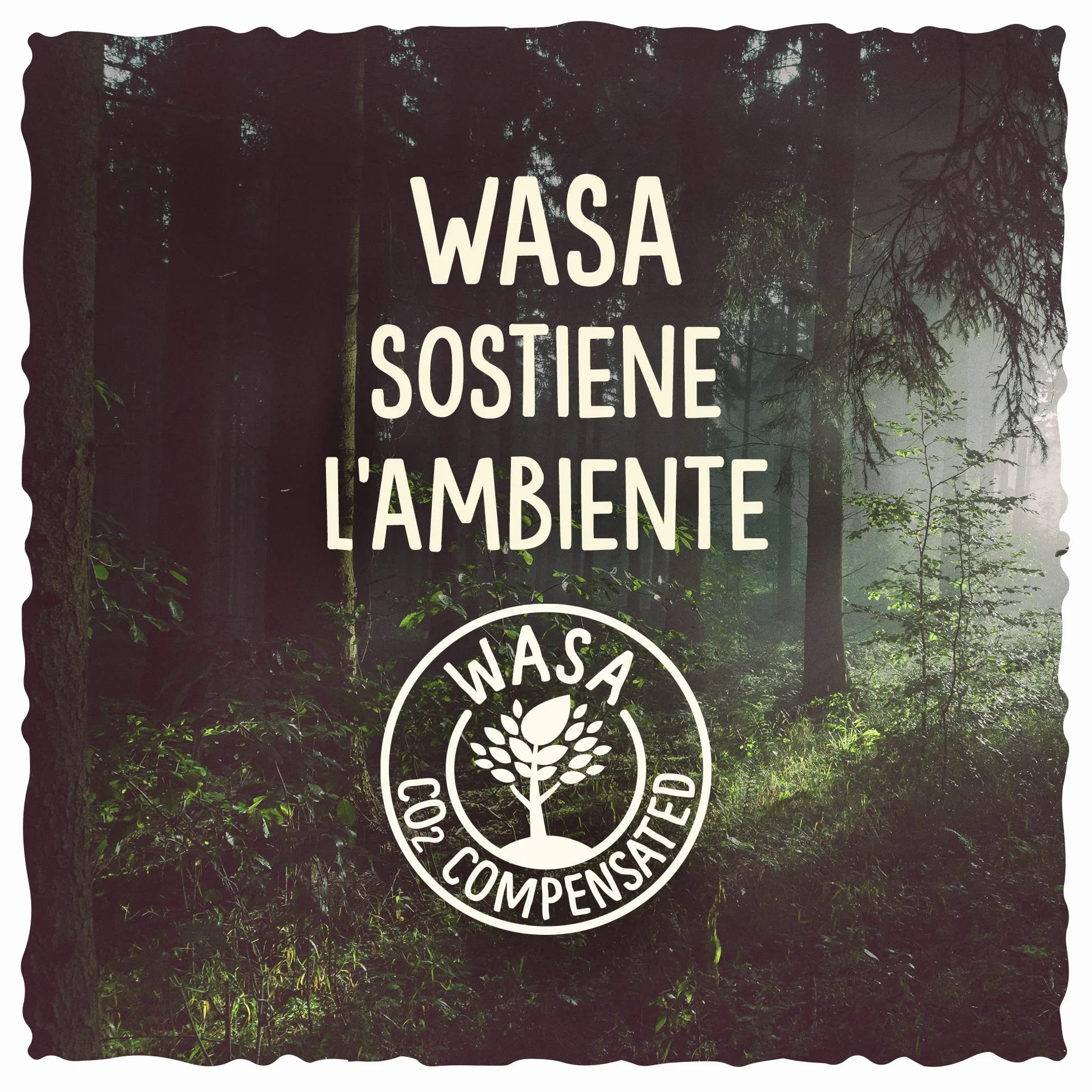 Wasa, Pan crujiente, Original 275gr