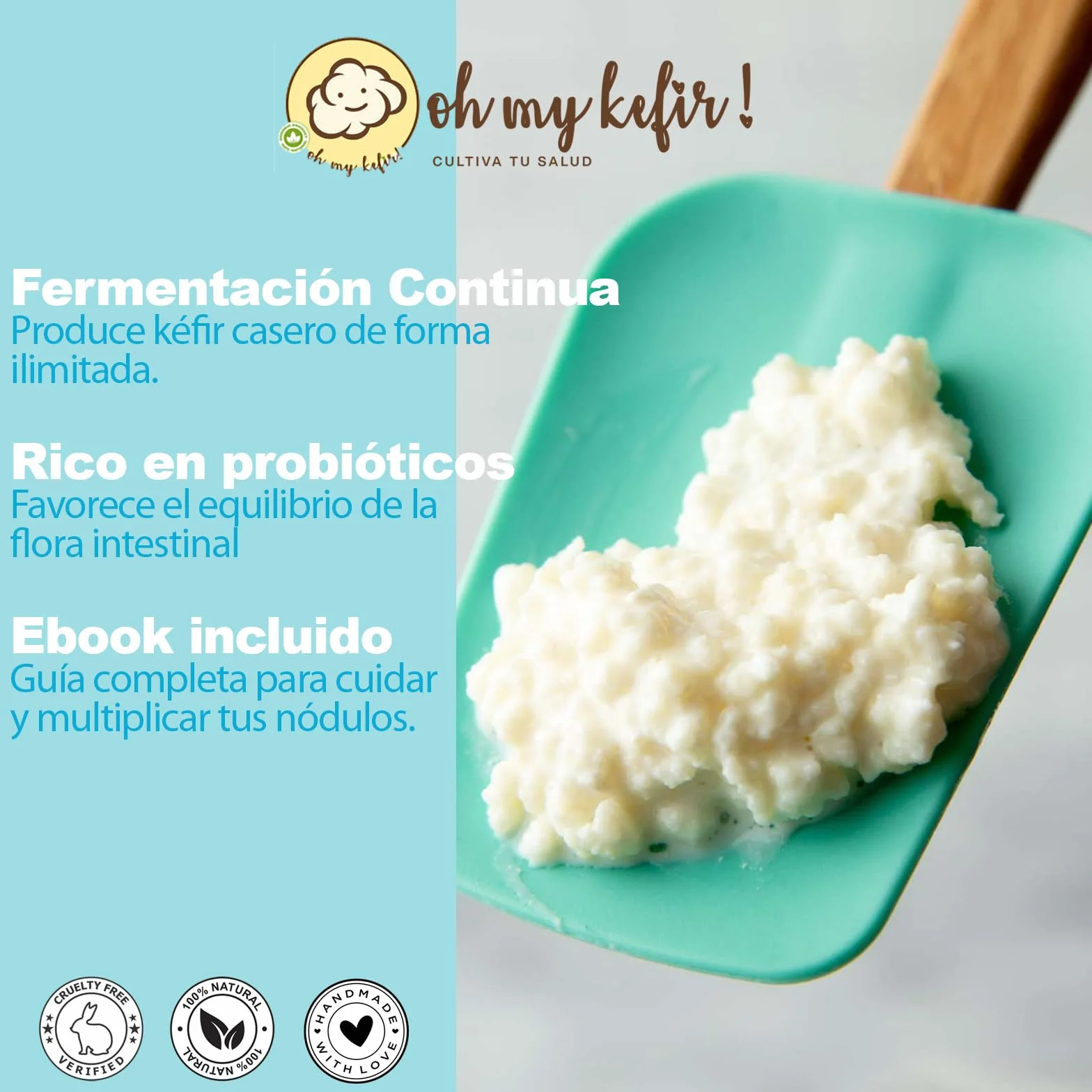 PACK COMPLETO Nódulos Kéfir de Leche Frescos + Colador 18 cm – Instrucciones y Recetas en Español – Kit Probiótico Natural con Asesoramiento - OH MY KÉFIR®