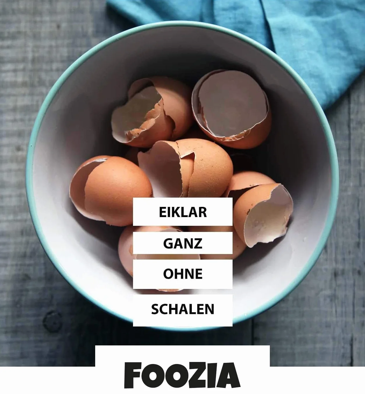 Foozia Clara de huevo en polvo 525 g Pur Egg White Powder Proteína de huevo