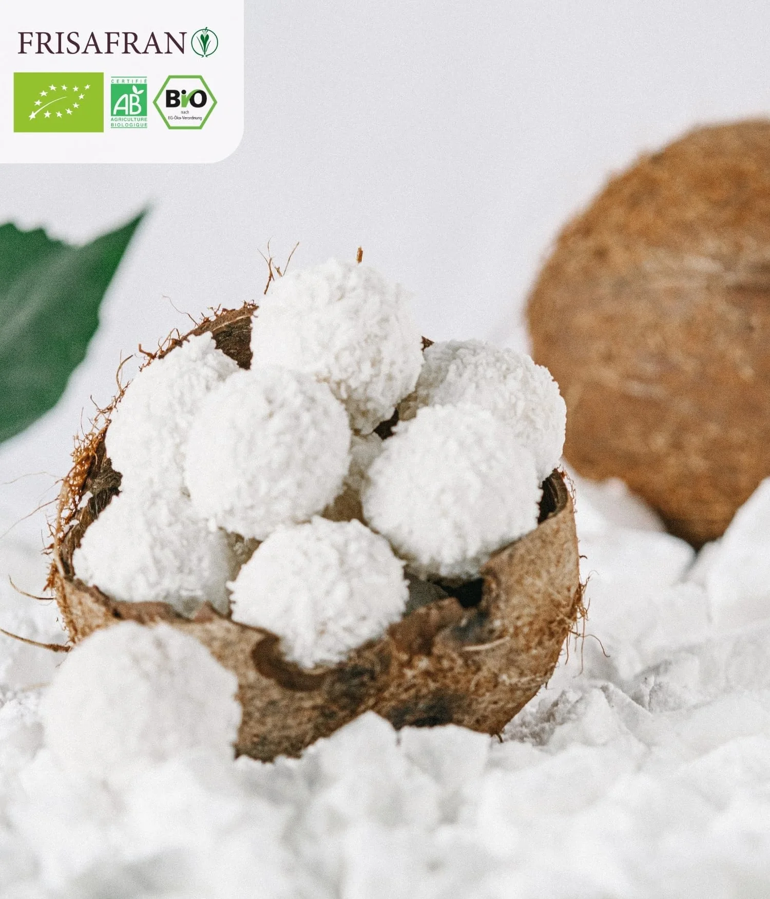 Leche de coco orgánica en polvo 100g Bio sin azúcar sin gluten vegana