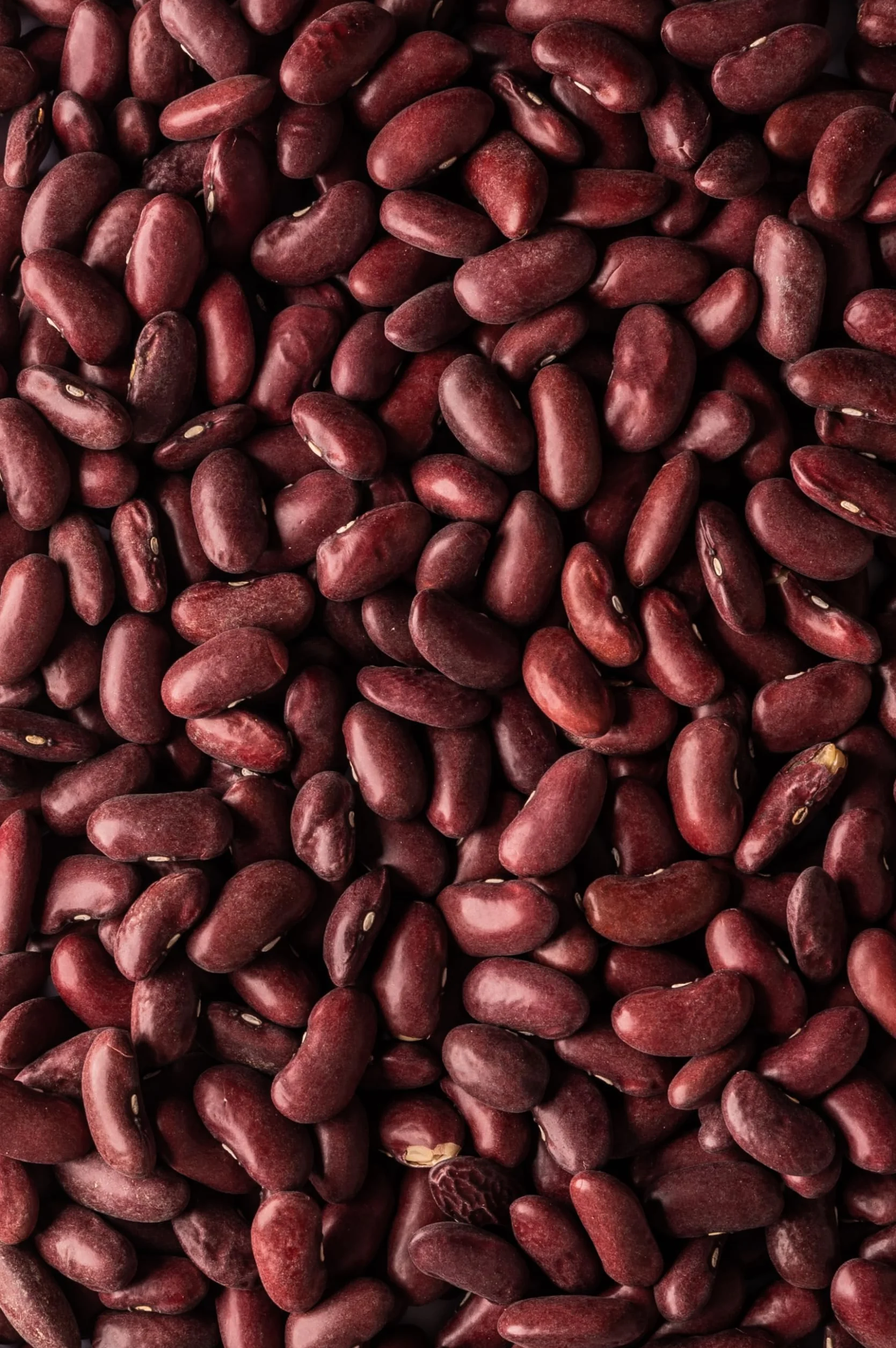 Biojoy Frijoles rojos (Kidney) Ecológicos (1,5 kg), enteros y sin aditivos