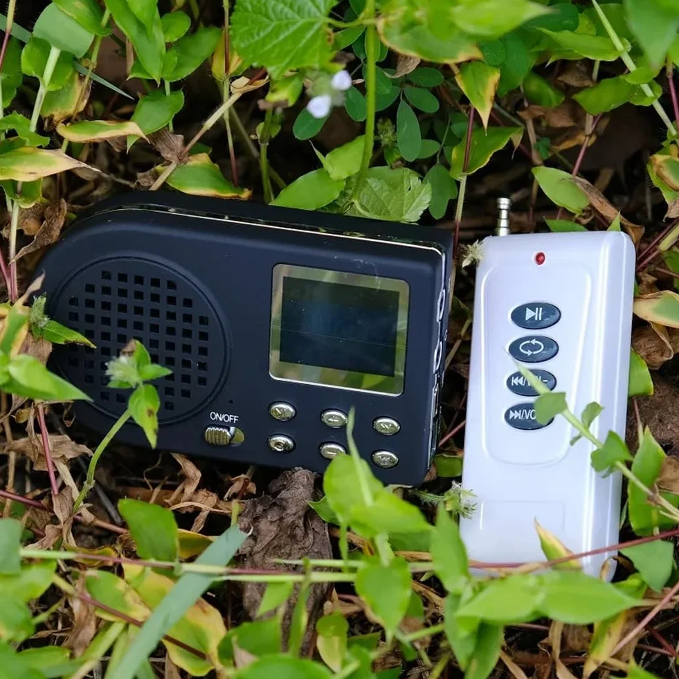 Llamador de Pájaros con Altavoz, Reproductor MP3 Digital, Control Remoto, Enchufe UE
