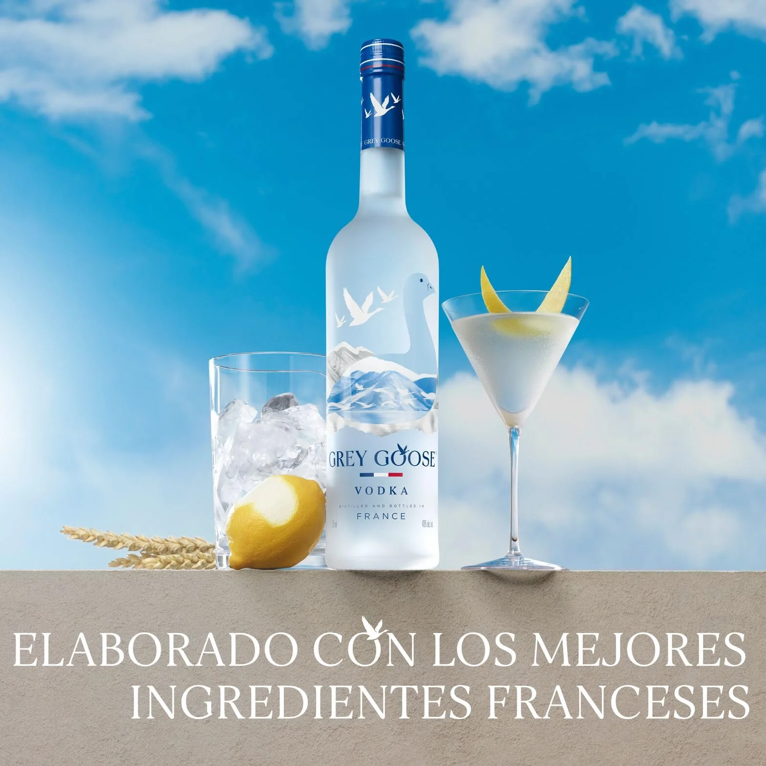GREY GOOSE vodka premium francés 40% ALC. 1 l