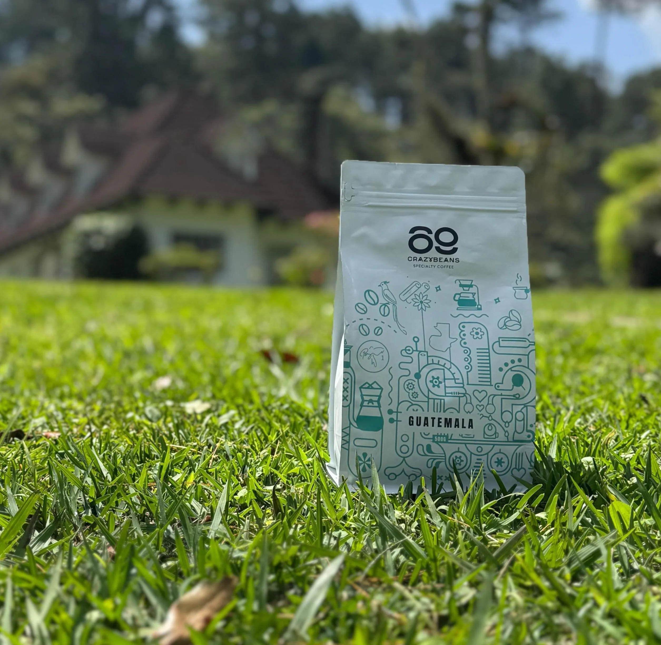 Cafe de Especialidad en Grano | Guatemala Caturra,Bourbon | 100% Arábica | Lavado con fermentación | 1600m | 84 puntos SCA | Huehuetenango,Guatemala | 500g | 69 CrazyBeans Specialty Coffee