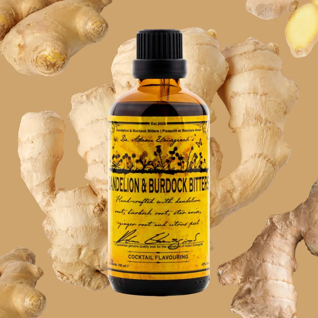 Dr Adam Elmegirab's Dandelion & Burdock Handcrafted Bitters 100ml