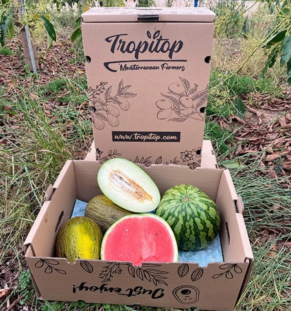 Caja 1 sandía rayada y 2 melones piel de sapo | Comprar sandía rayada 6kg y melones piel de sapo 2,70kg cada pieza. Fruta directa del agricultor de Castellón (España)