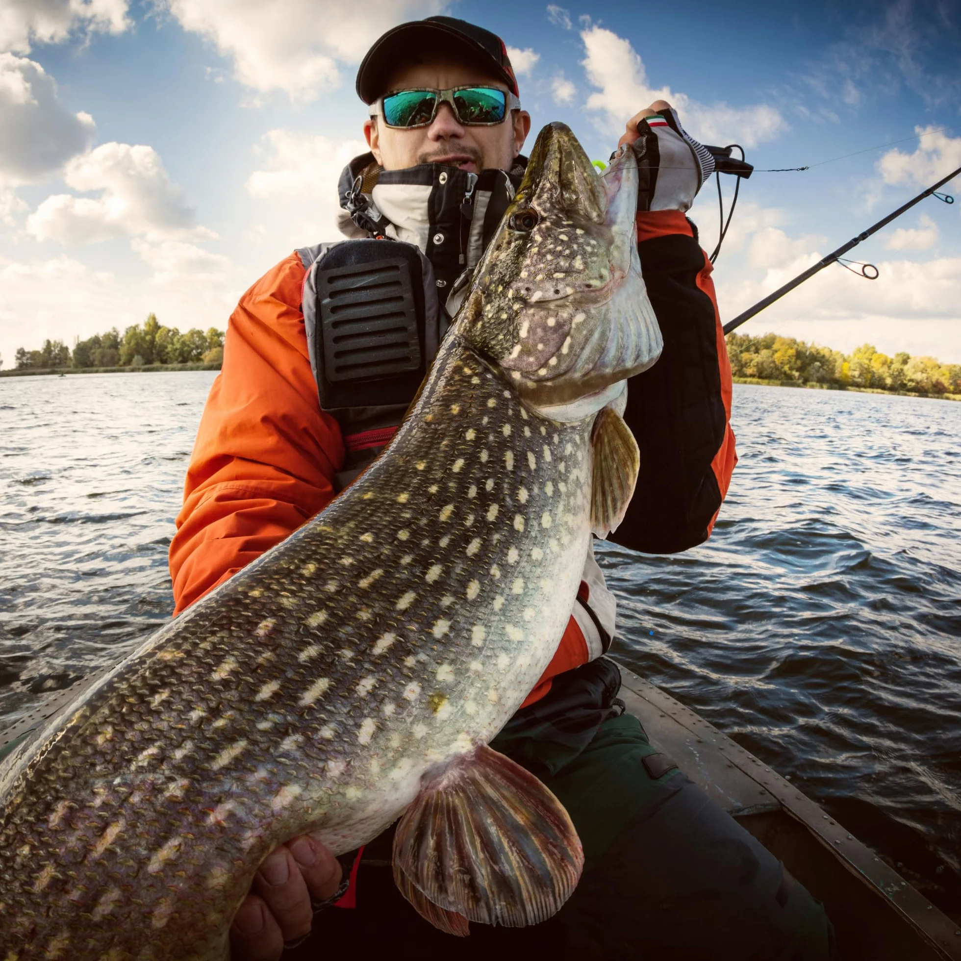 Plomos Pesca de Curricán 500g - Plomo Pesca Carpa - Carpfishing Accesorios - Fishing Kit Completo