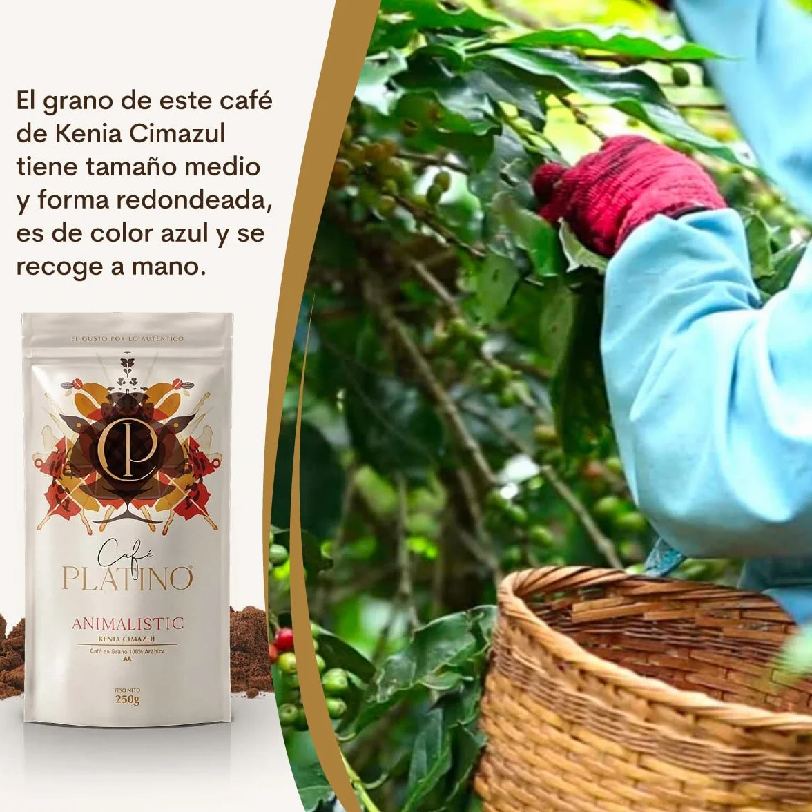 Café Platino Animalistic - Café en Grano Natural de Kenia Cimazul Tostado 250g - 100% Arábica - Categoría AA