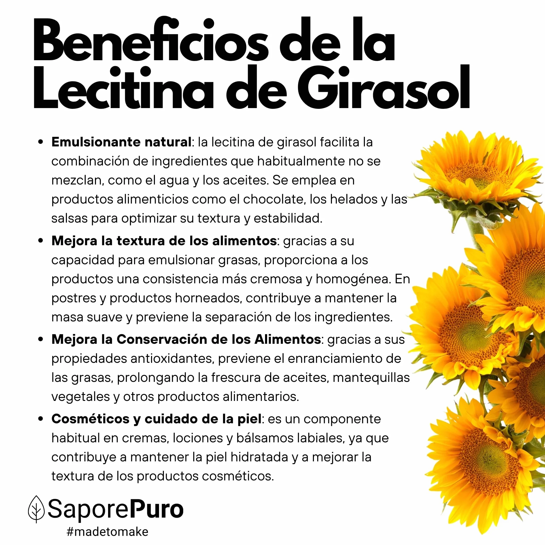 SaporePuro Lecitina de Girasol en Polvo 100 g – Emulsionante Natural SIN GLUTEN