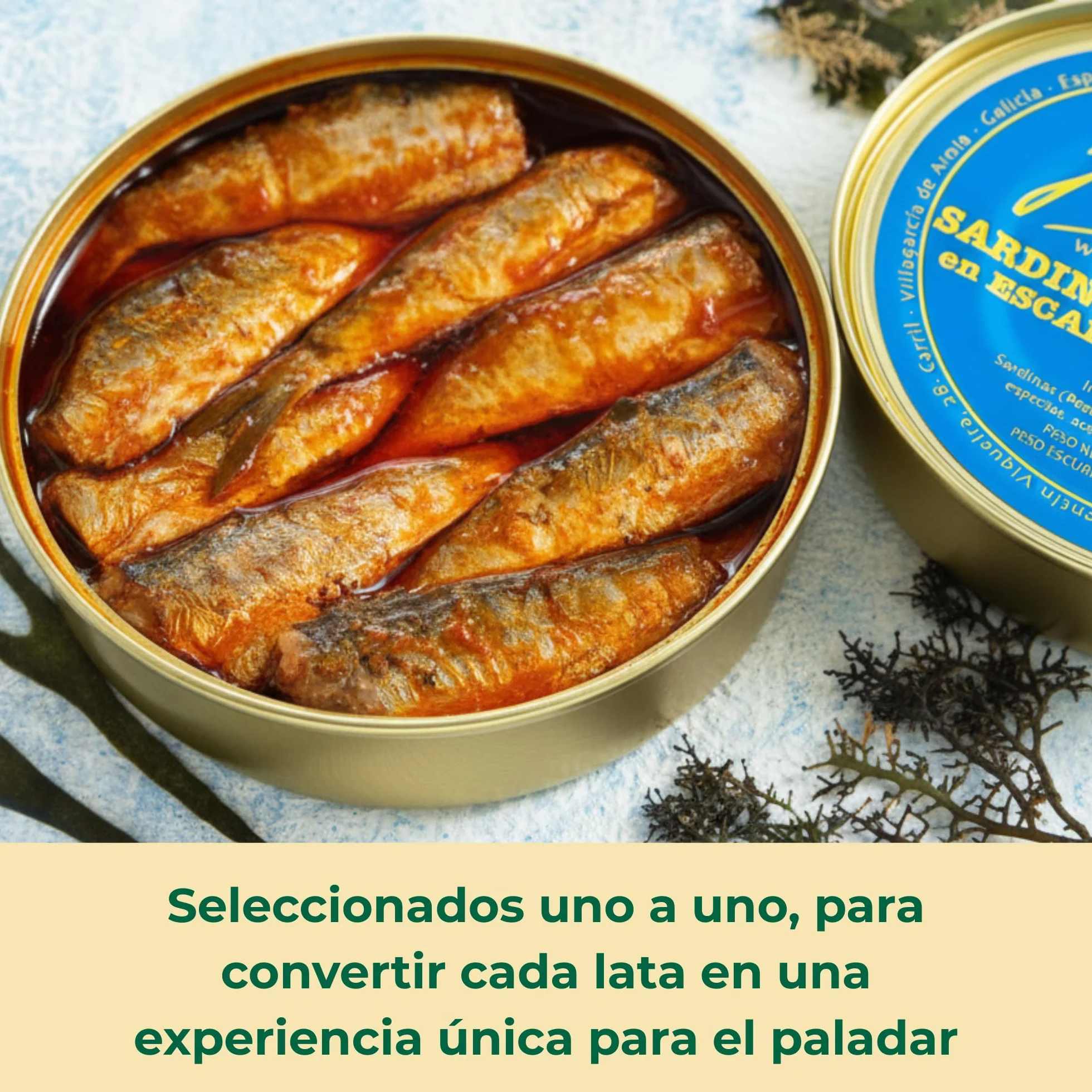 LOS PEPERETES x3 Lata Sardinillas en Escabeche 120 g | Sardinas Pequeñas Gourmet Gallegas | Conserva Artesanal en Aceite de Oliva y Vinagre | Pescado Azul del Atlántico | Sabor Tradicional de Galicia